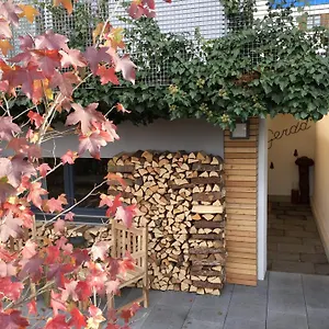 Spa&wellness Gerda Apartment Grinzens